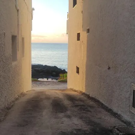 Estudio Calima Arico